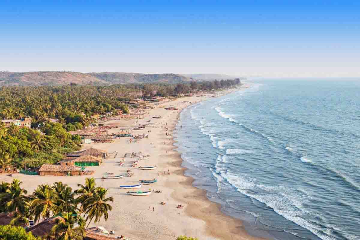 Forest Tour
